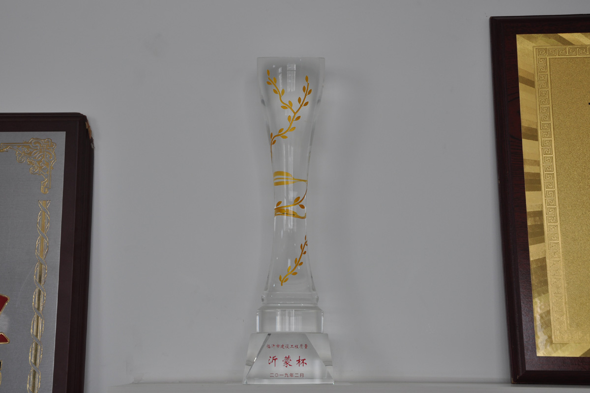 2019年沂蒙杯奖